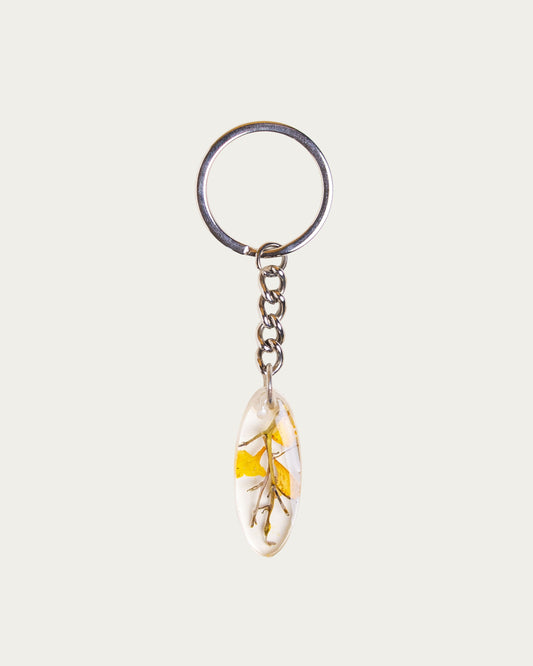 Peele Kante